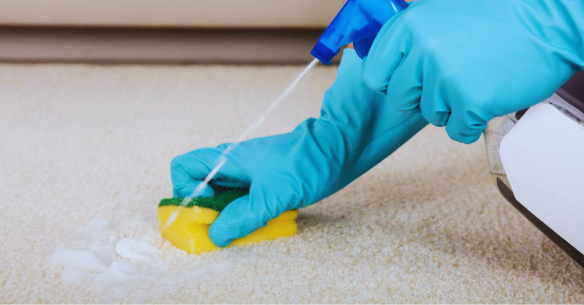 Vorsichtsmaßnahmen beim Entfernen von Kaugummi aus Teppichen
